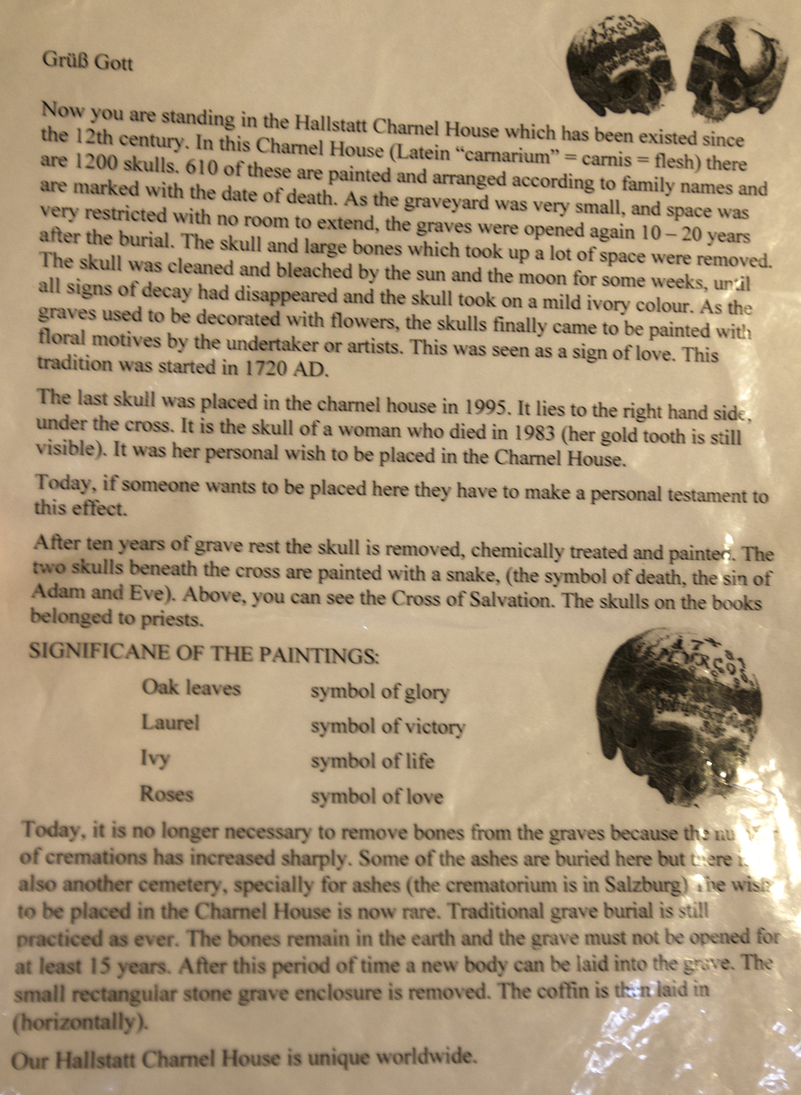 IMG 3739 900