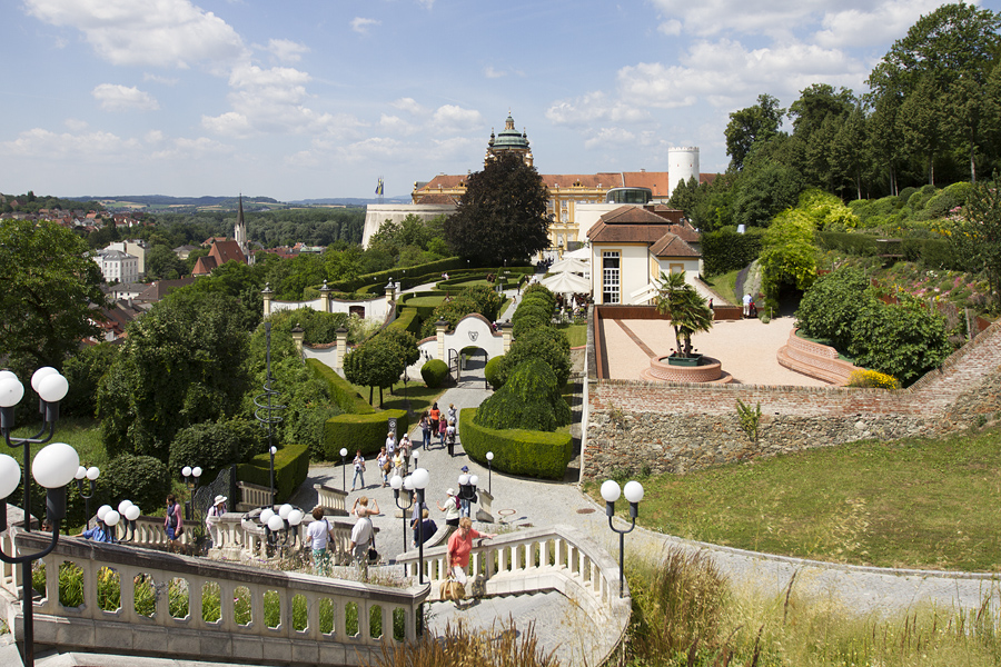 IMG 3871 900