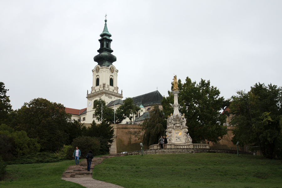 IMG 4285 900
