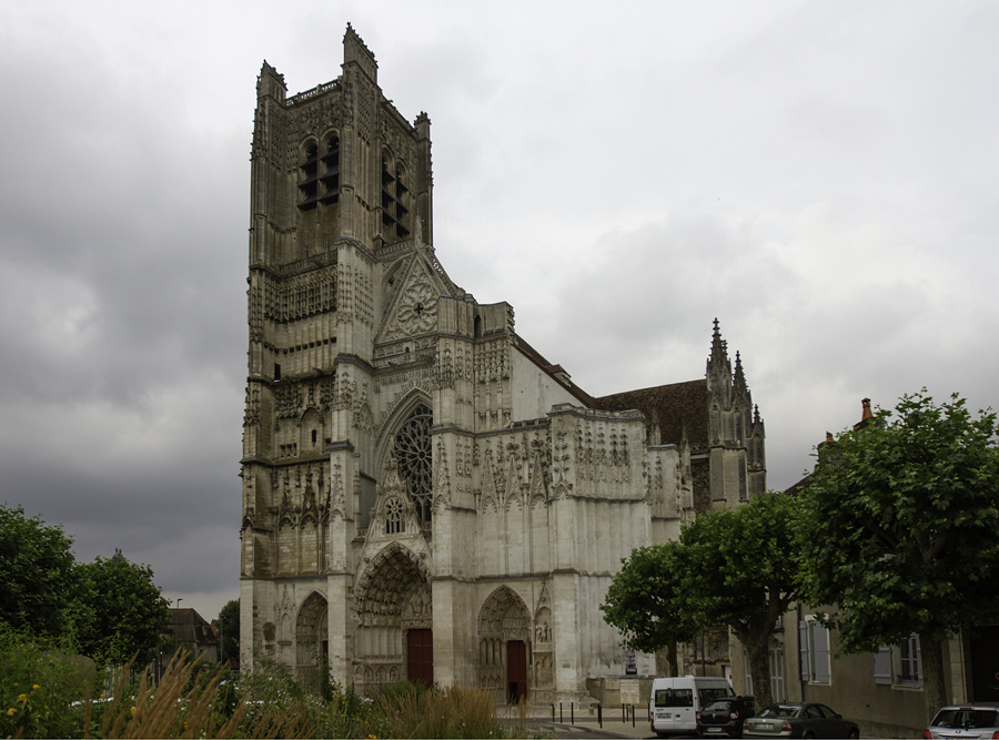 IMG 5009 900