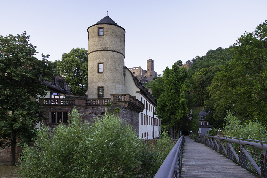 IMG 4852 900