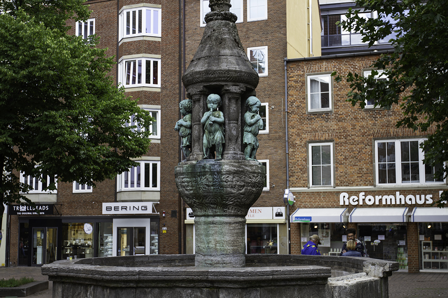 IMG 7078